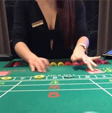 vipvin77